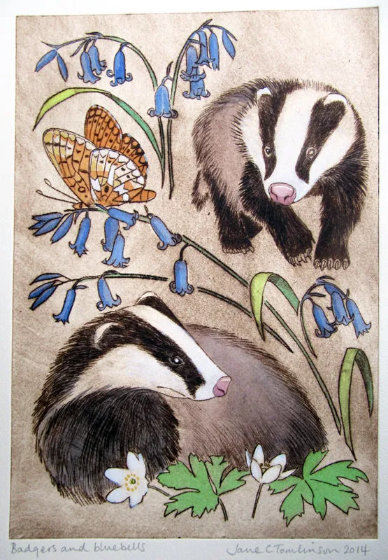 Badgers and bluebells