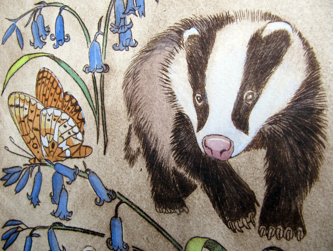 Badgers and bluebells