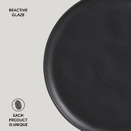 Bio 11.4" Matte Black Dinner Plate Set