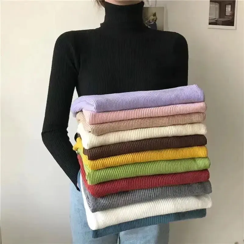 Simple Women Turtleneck Sweater